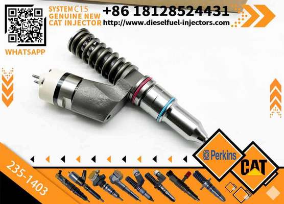 Rail Injection Valves Diesel Engine Injector 200-1117 211-3023 235-1401 235-1403 235-1400 244-7716