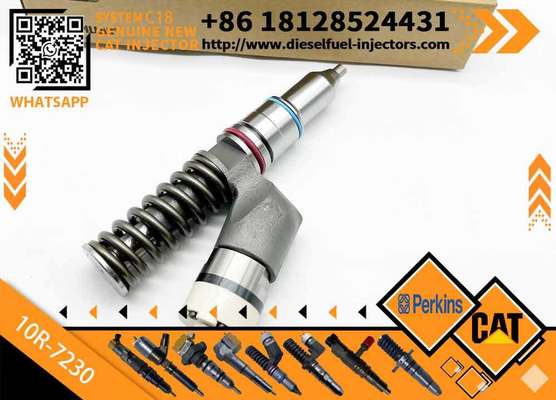 Injector 291-5911 10R-7230 317-5278 248-1394 253-0618 294-7615 for CAT Diesel Engine C15/C18