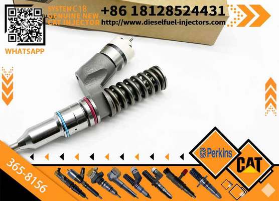 Factory Wholesale of High Quality Components in Stock Fuel Injector 30R-0004 365-8156 1677154 8113092 BEBE4B01003 for CAT Engine