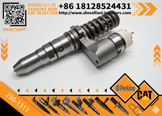 Diesel Common Rail Injector 250-1208 250-1311 250-1213 10R-9617 373-4087 376-0509 379-0509 250-1202 250-1304 for CAT 3500B
