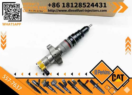 Wholesale Diesel Fuel Injector 387-9437 387-9438 557-7633 557-7637 328-2573 3879433 for Caterpillar C9 Engine